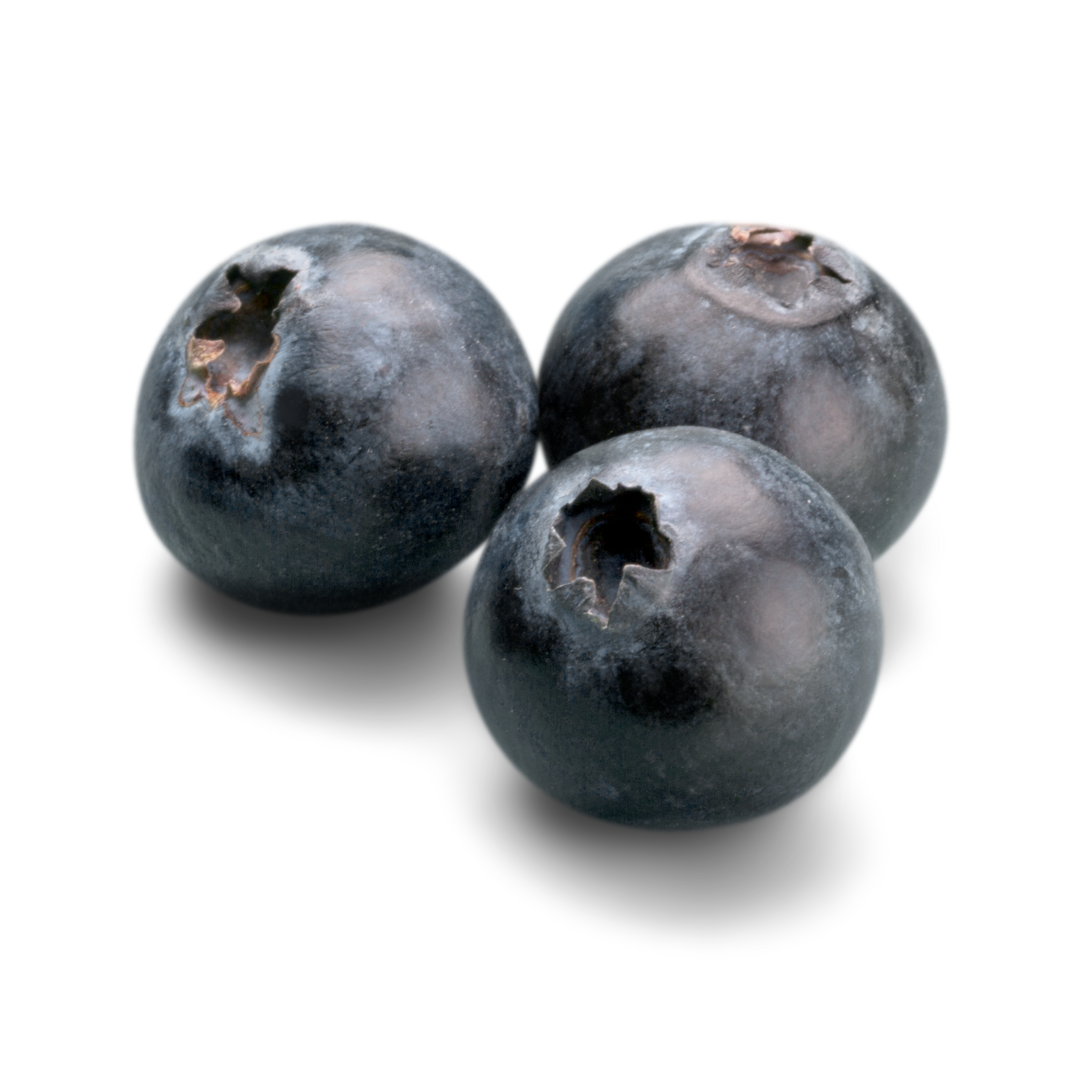 Blueberry Bliss